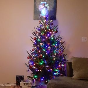 Meet your Posher, Craig